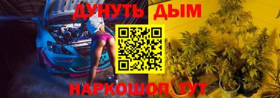 трава Бийск