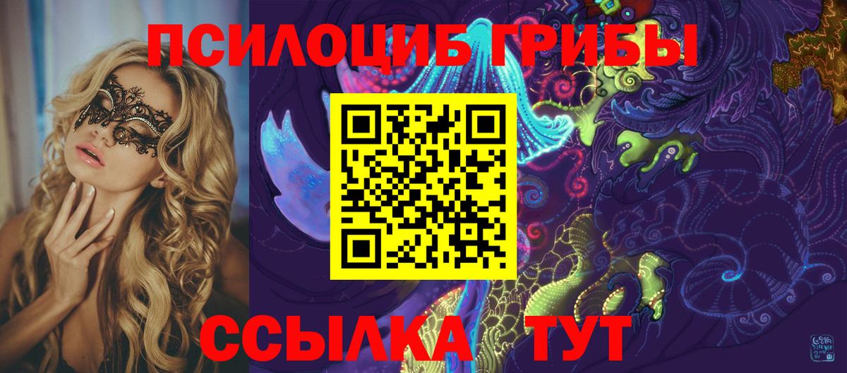 Псилоцибиновые грибы Psilocybine cubensis Дедовск