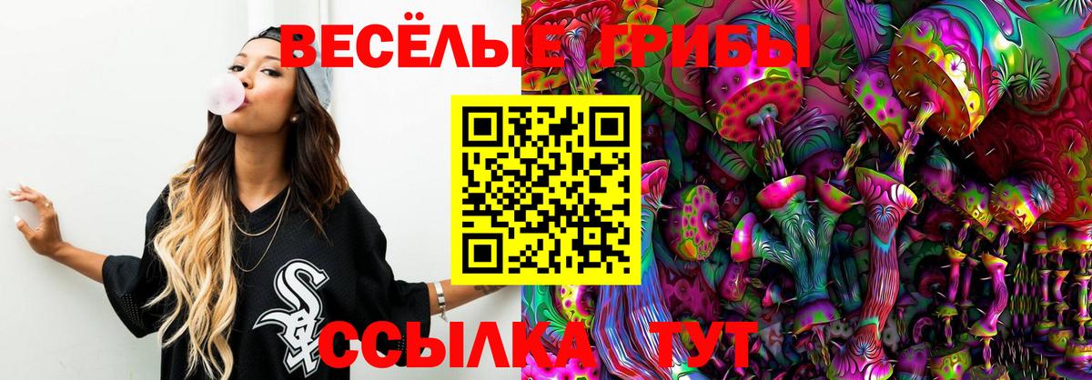 дарнет шоп  Псилоцибиновые грибы MAGIC MUSHROOMS  Вход с VPN  Дедовск 